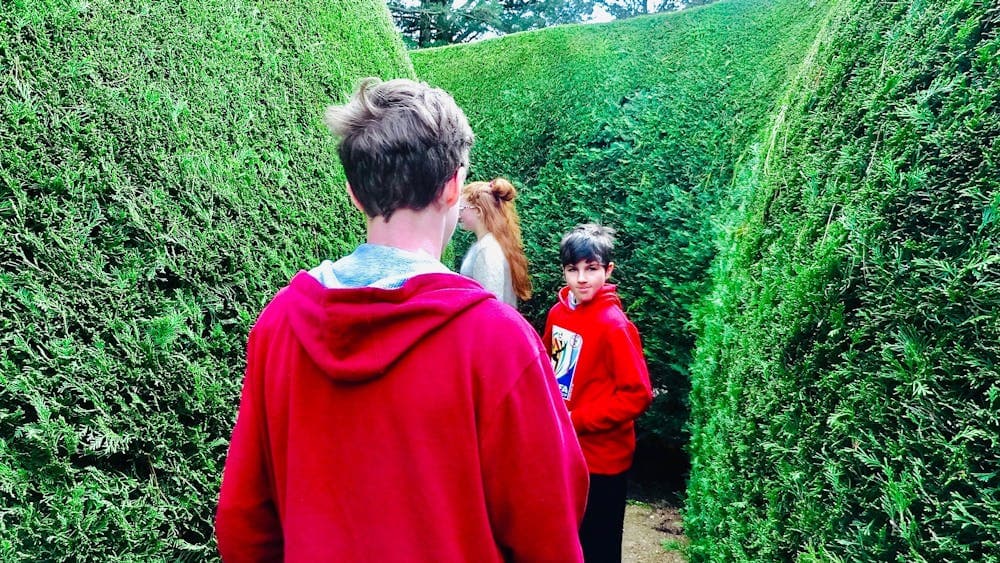 Children in a hedge maze