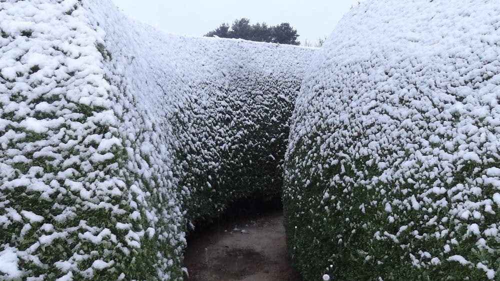 Hedge maze with snow on it