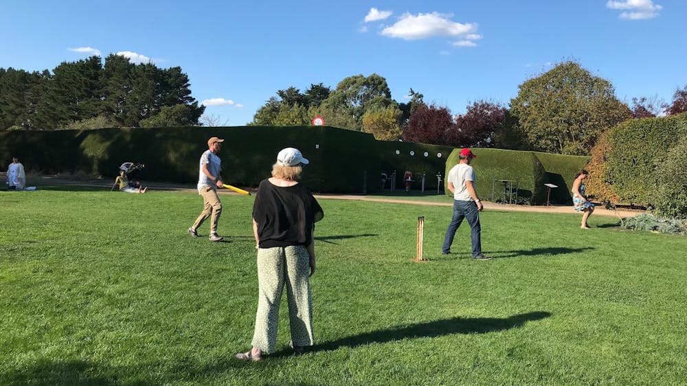 Group of people playing cricket on lawn