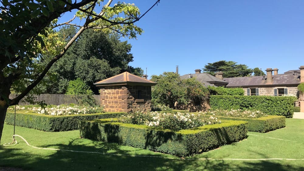 Rose garden