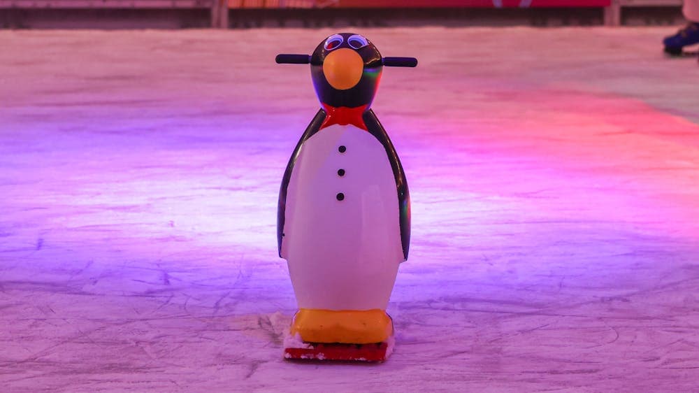 Ice -Skating Rink - Image 1
