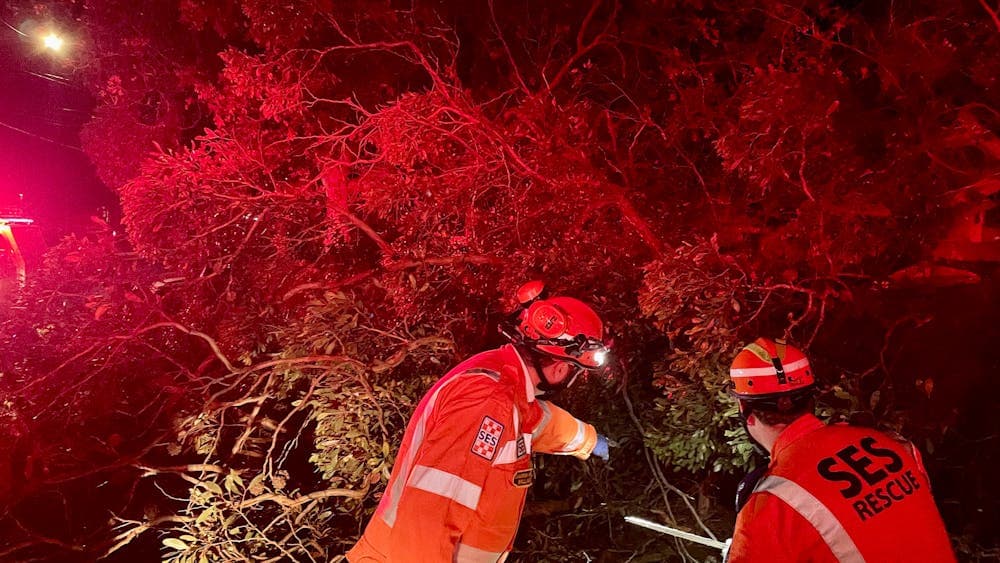 SES volunteers