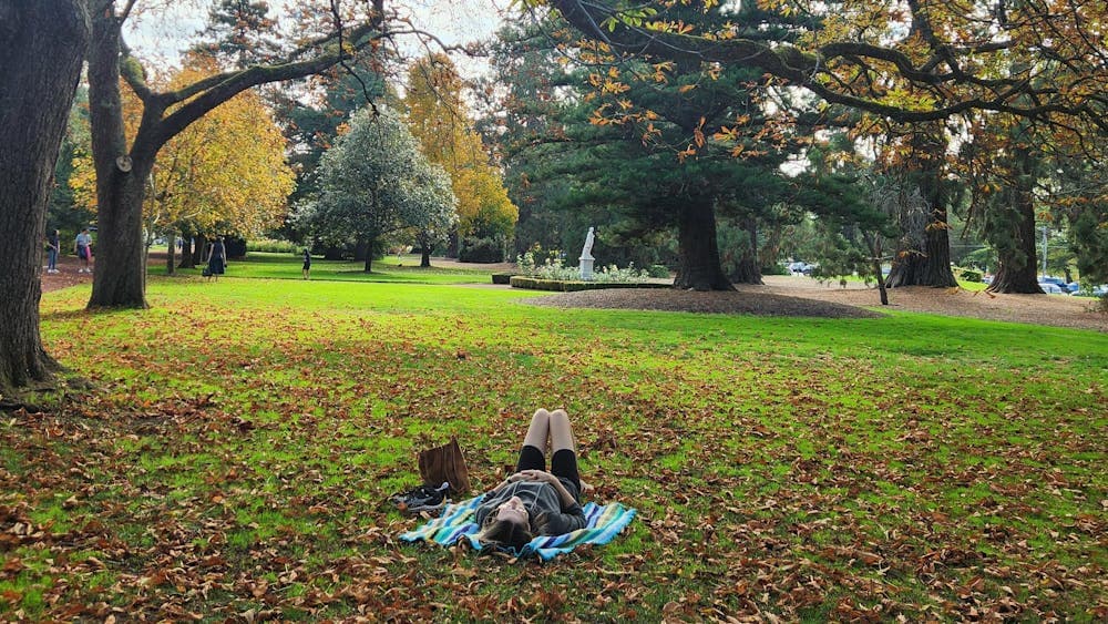 a person laying down on grass under a tree