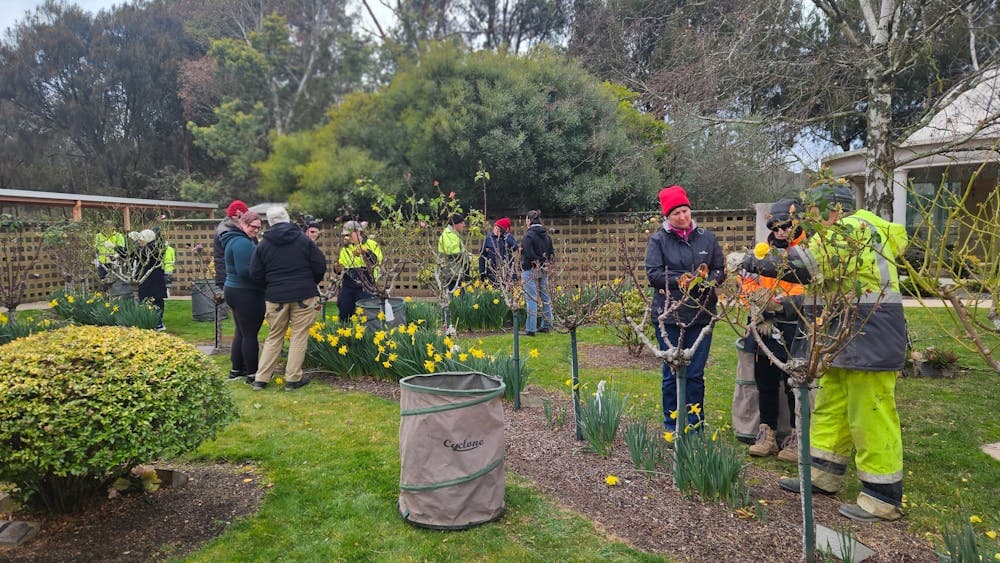 Staff instructing attendees on rose pruning techniques