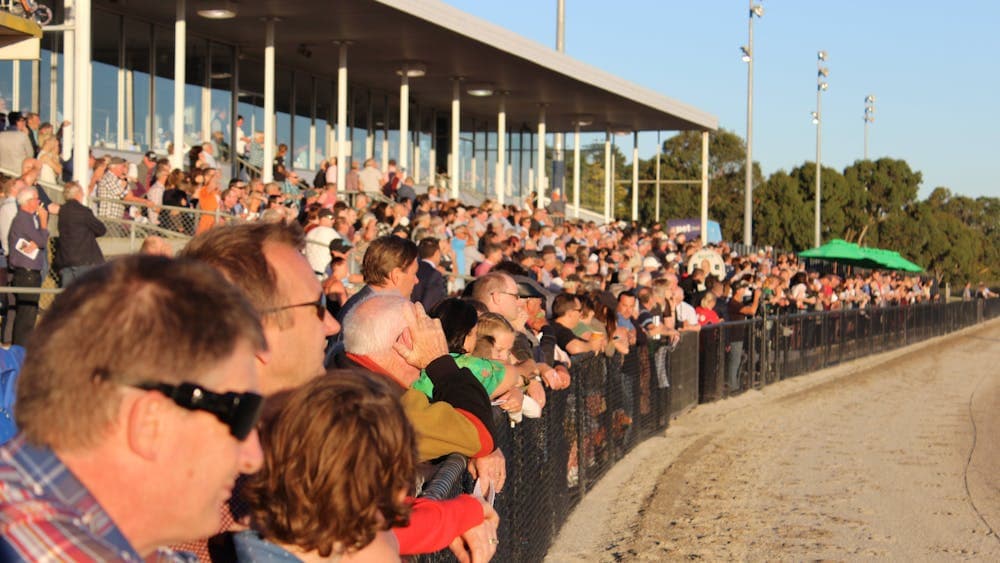 Pacing Cup