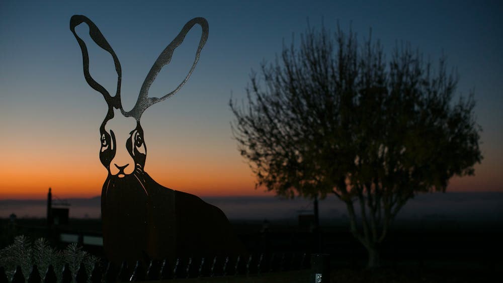 Mt Coghill Vineyard Sunrise with Hare Sculpture