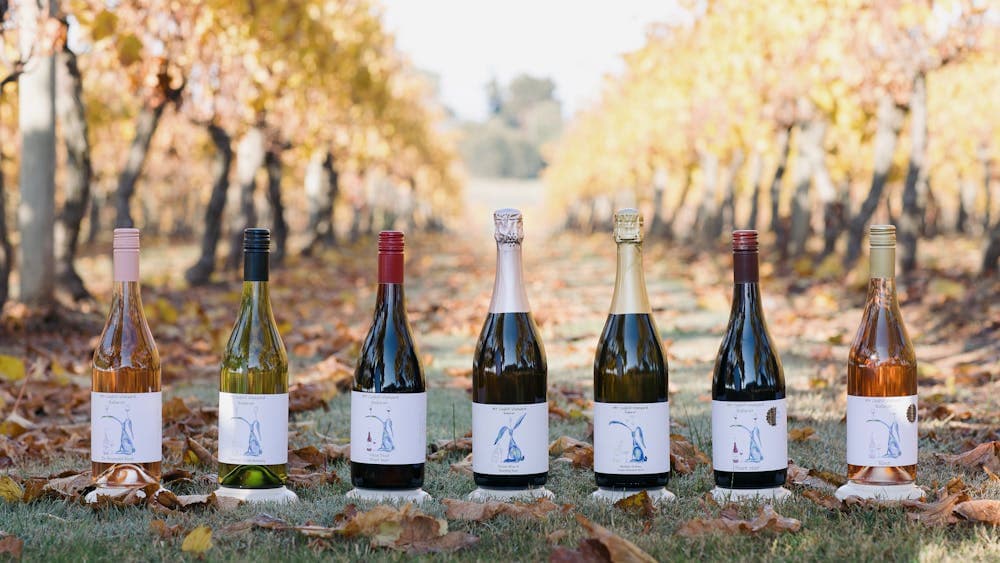 Mt Coghill Vineyard Wines in Vineyard