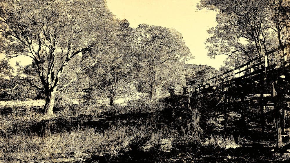 Linocut print of a bridge