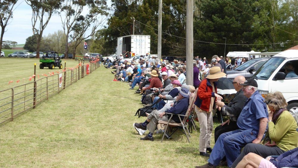 Dean Sheepdog Trials - Old Sniff Classic
