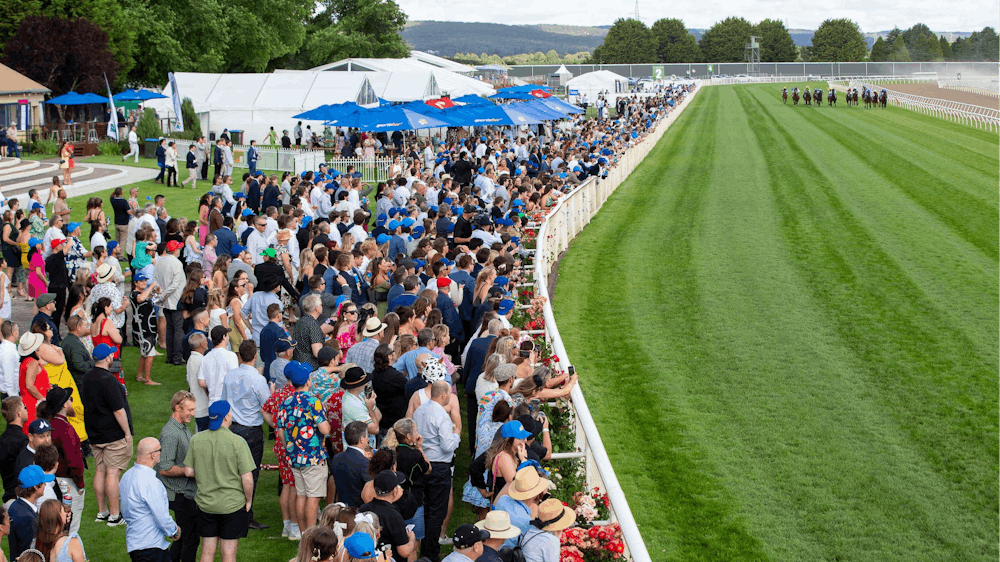 A big crowd watching and cheering a race as the horses go  past.