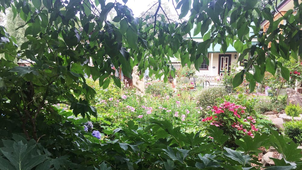 Open Gardens Victoria - Forest Edge, lush garden views