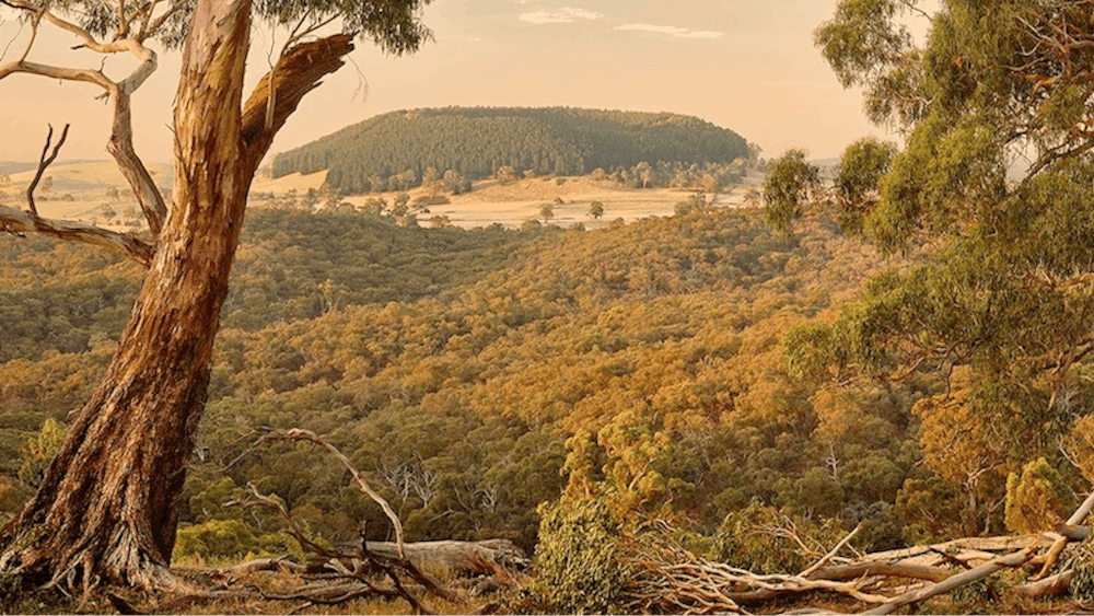 David Rosendale - Ulysses-Gaze_View-to-Lalgumbuk_Mt-Franklin