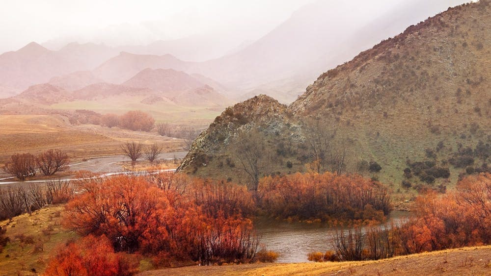 hills rain mist