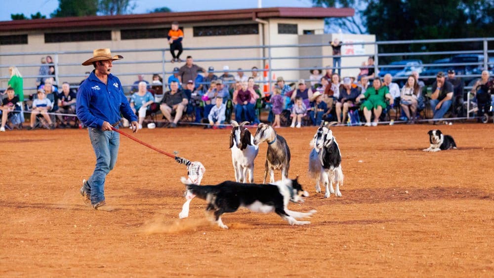 Tom Curtain providing a working dog demonstration during an outback show