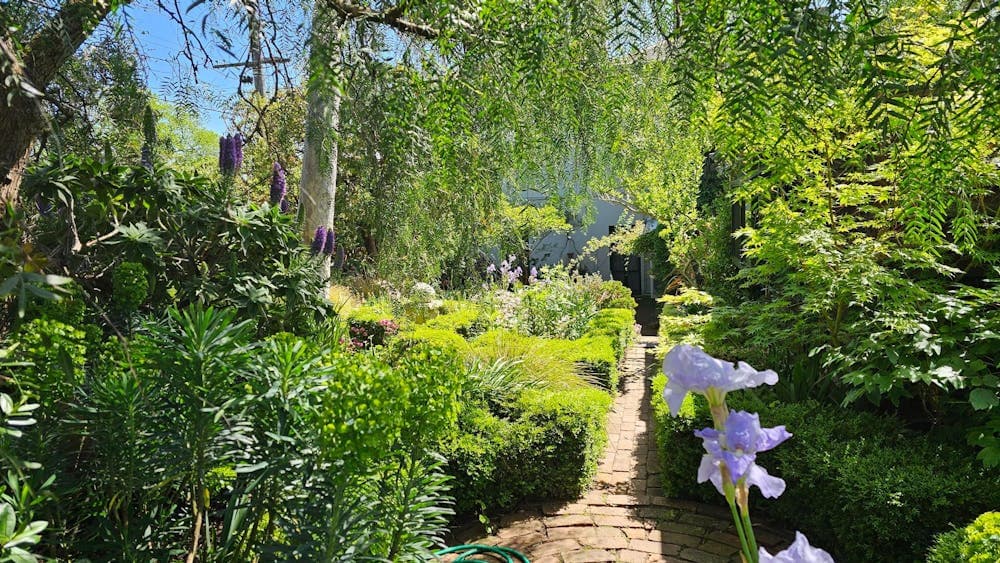 A Pocket Paradise