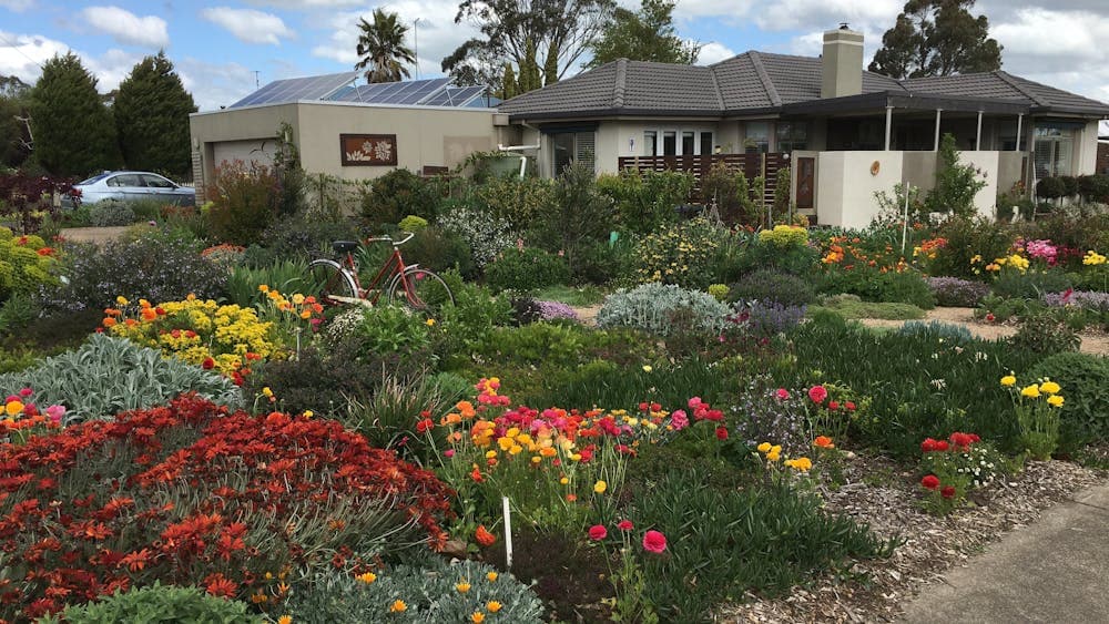 A Verge Garden