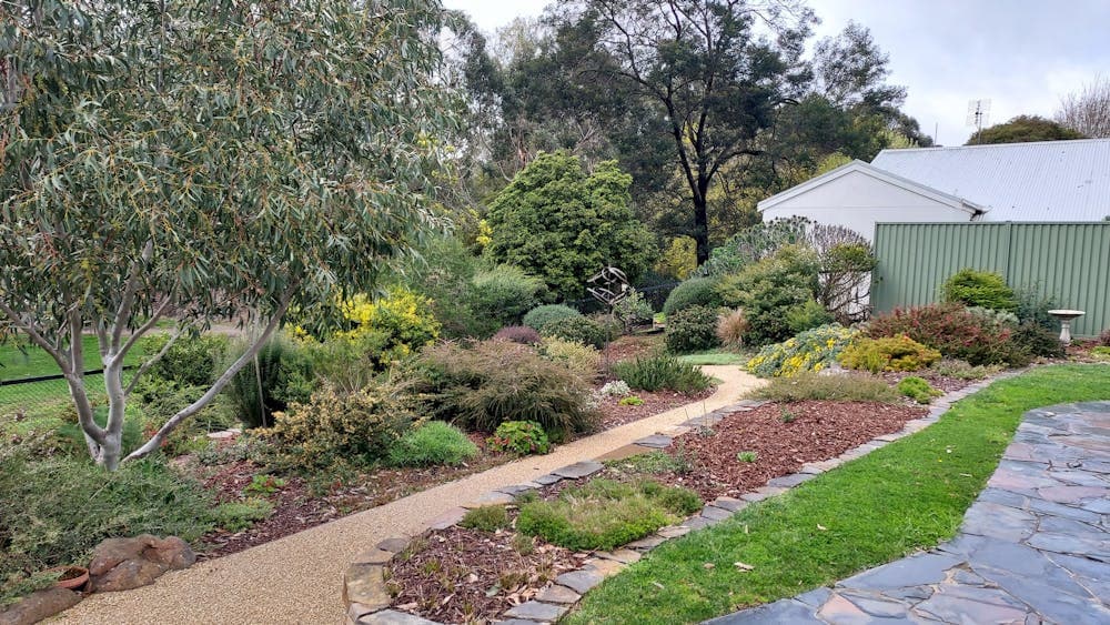 A Garden is only ever a Promise