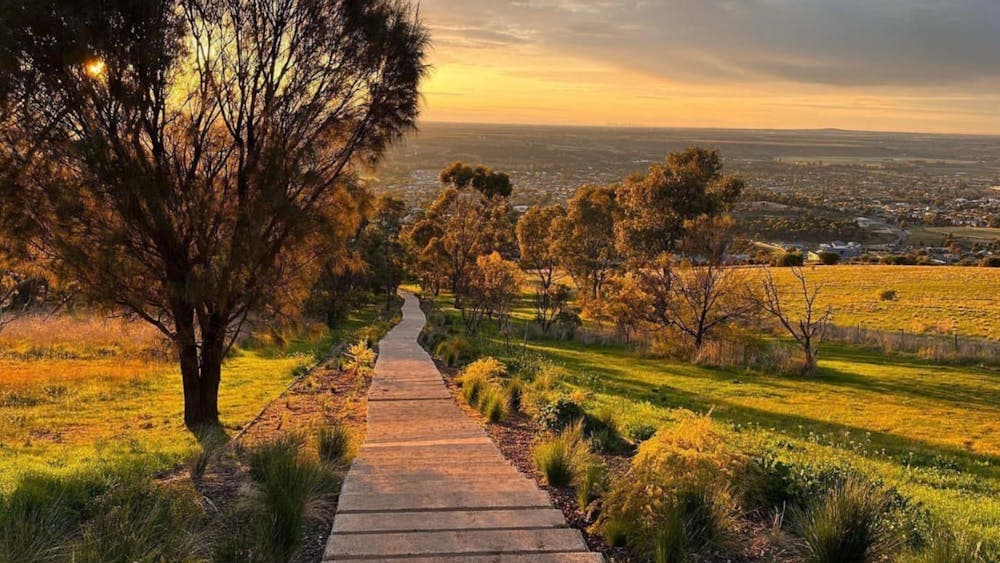 Landscape image of Bald Hill. The steps are visiable and the image is taken at sunrise.