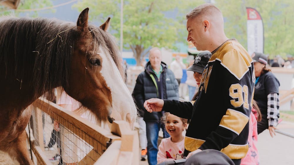 Come up close and personal with the Clydesdales and enjoy the blacksmithing displayy