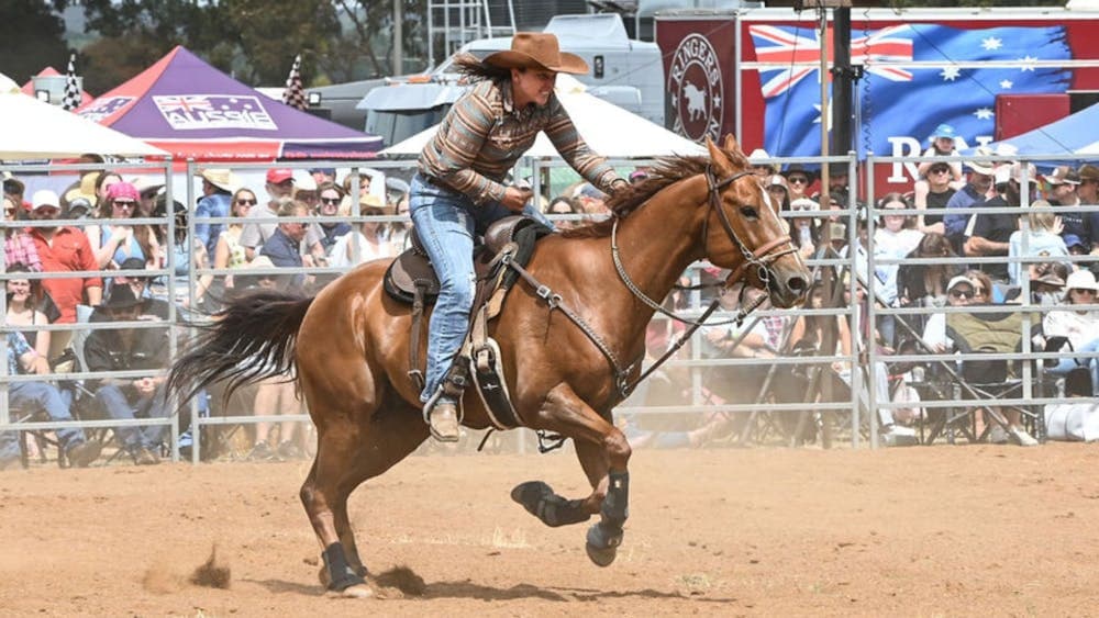 A lady barrel racer flying across the sand