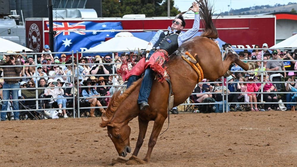 A cowboy lays horizontal on a bareback bronc in front of a sold out crowd