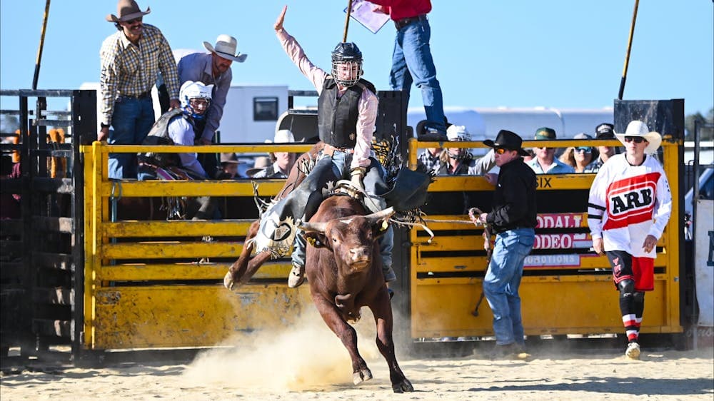 The first ride of the day a young bullrider with cowboys looking on in the background