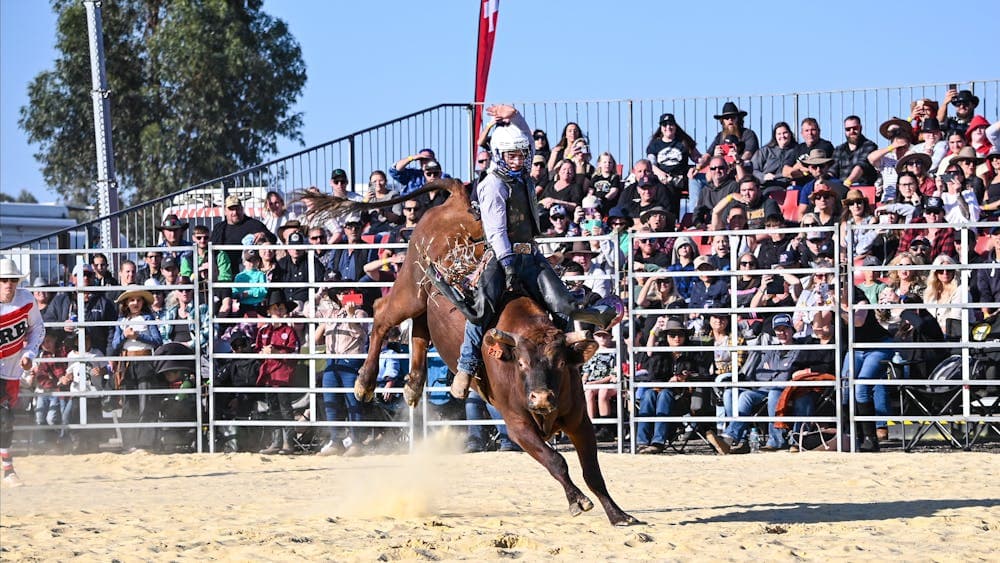 A young bull rider is mid-ride on a bucking bull in front of a sold our crowd