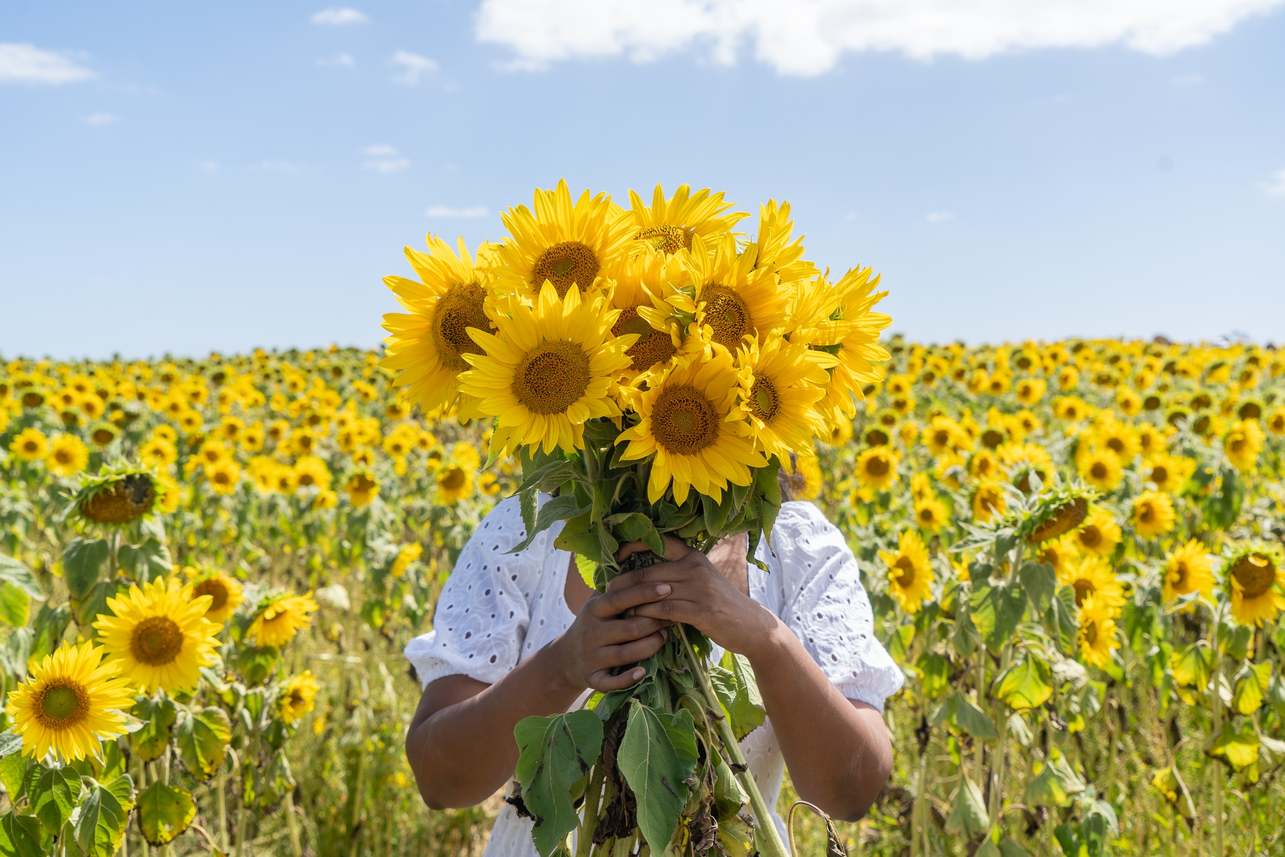 Thumbnail for Everything you need to know about autumn in Ballarat