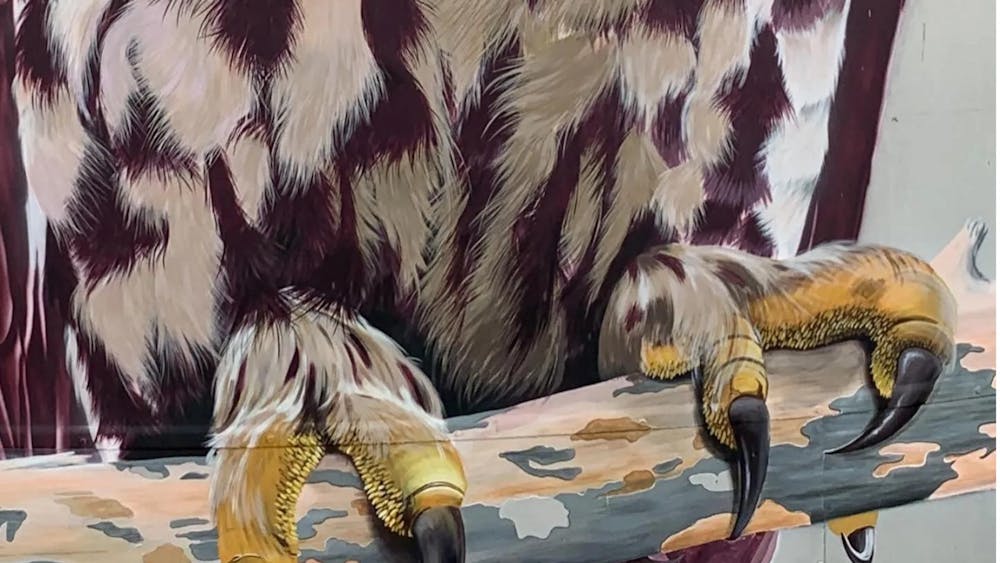 silo art, avoca, barking owl