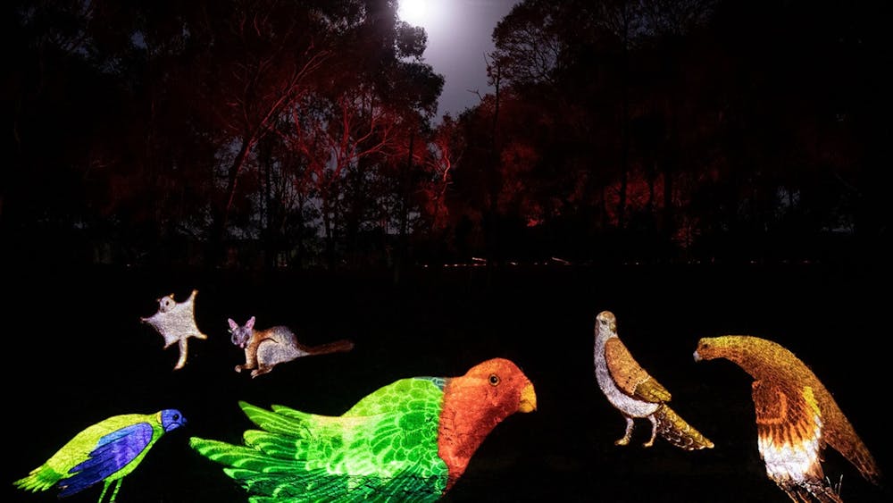 Projections of birds in AURA sound and light show