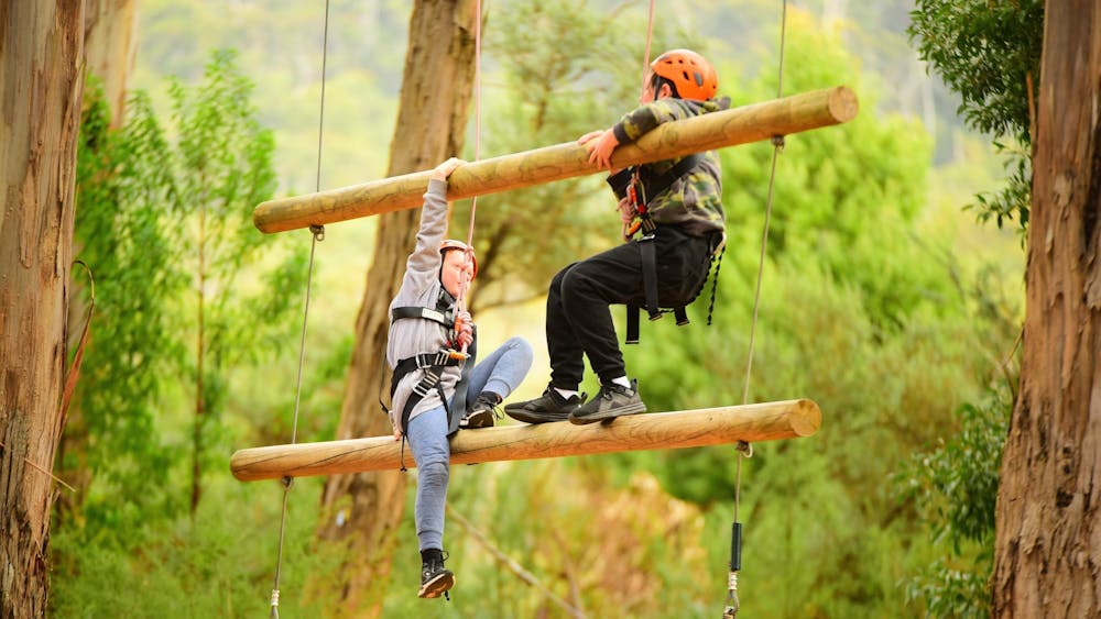 two campers attempt to climb the Giant's ladder