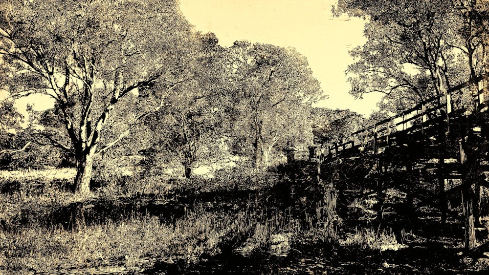 Thumbnail for Imprints- marks we leave behind