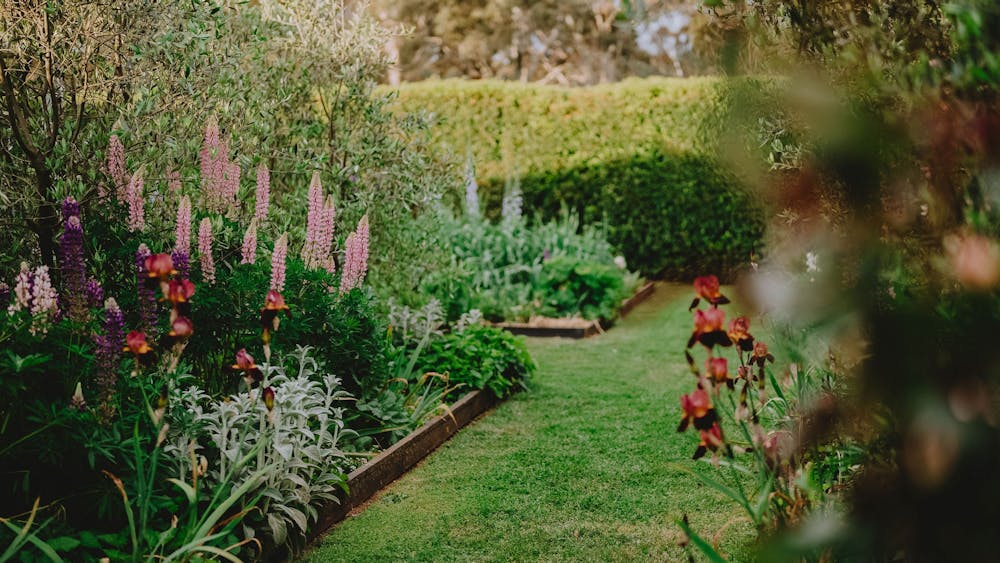 Thumbnail for Creswick Garden Lovers Weekend