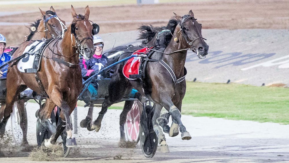 Thumbnail for SpringFest Ballarat Harness Racing Night