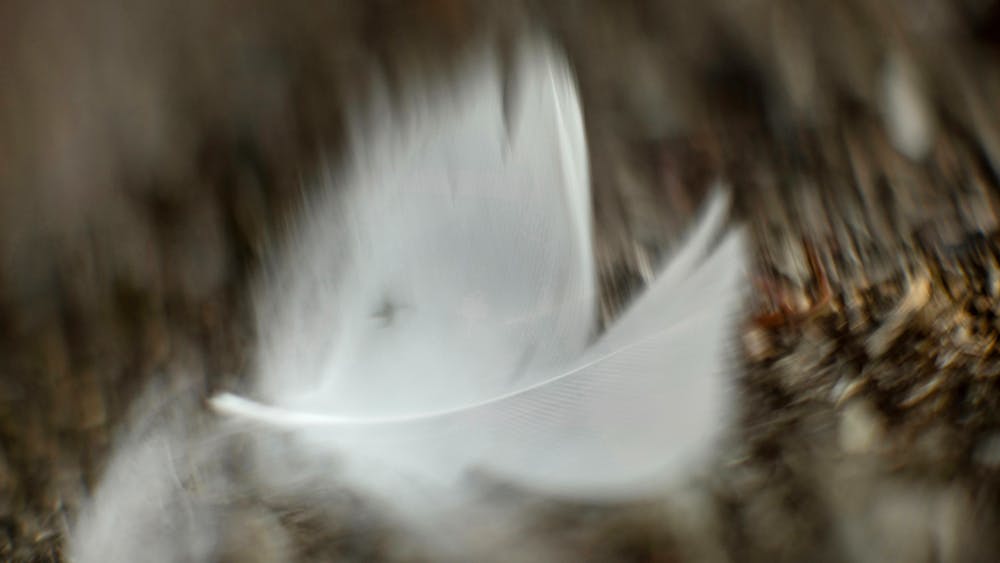 Thumbnail for Within Sight Photographs by Paul Lambeth