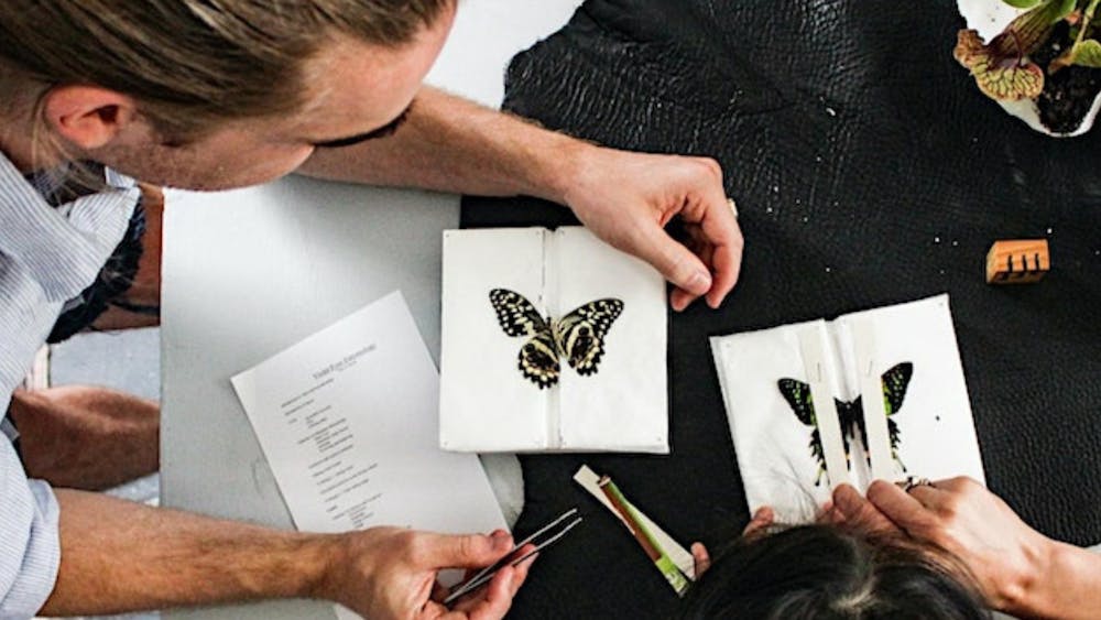 Thumbnail for Beginner Entomology Workshop