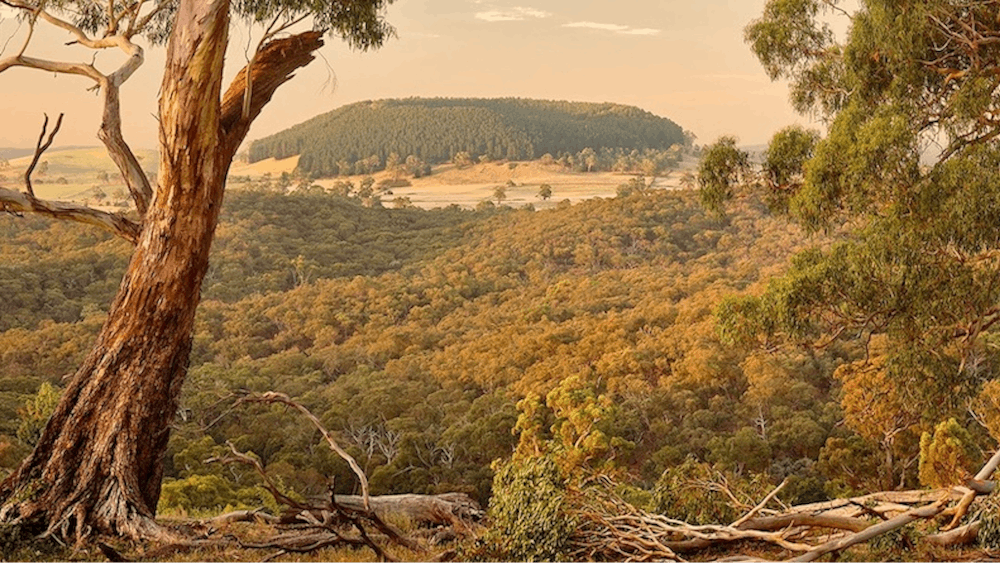Thumbnail for Landscape Photography Workshop