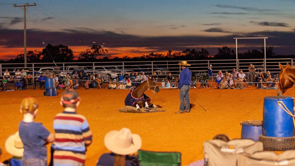 Guests watching Tom Curtain work with a horse during a Katherine Outback Experience show on tour