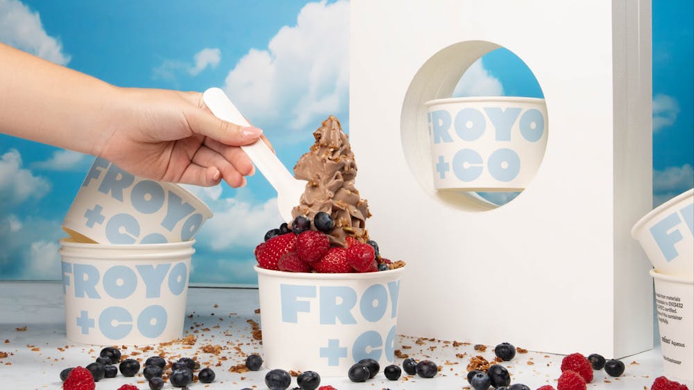 Froyo & Co Hero Image