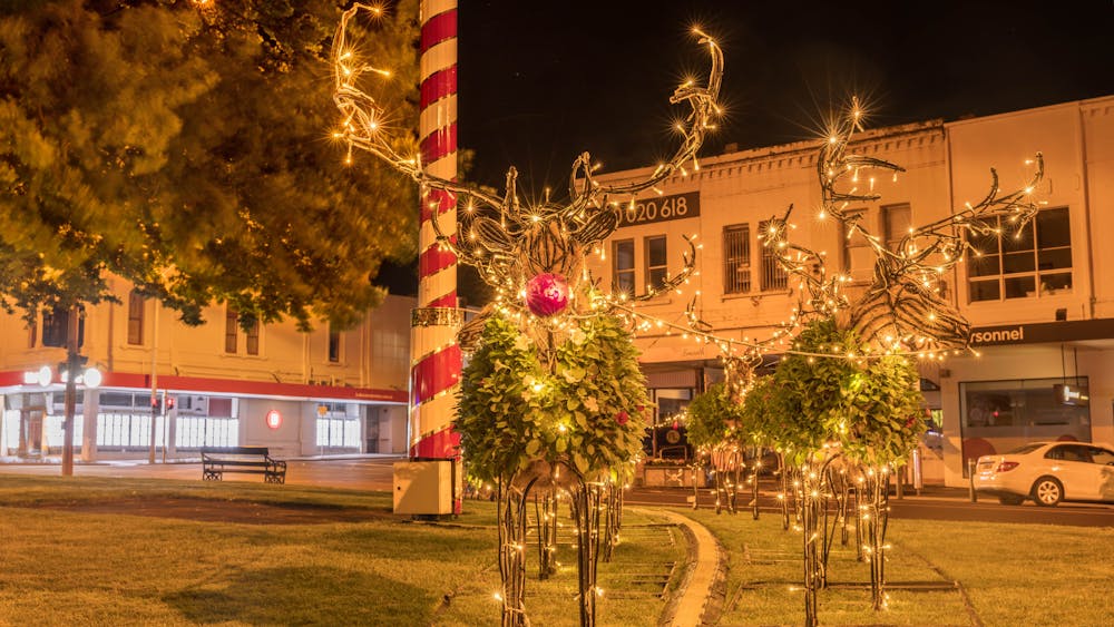 Floral reindeer lit up at night with fairy lights