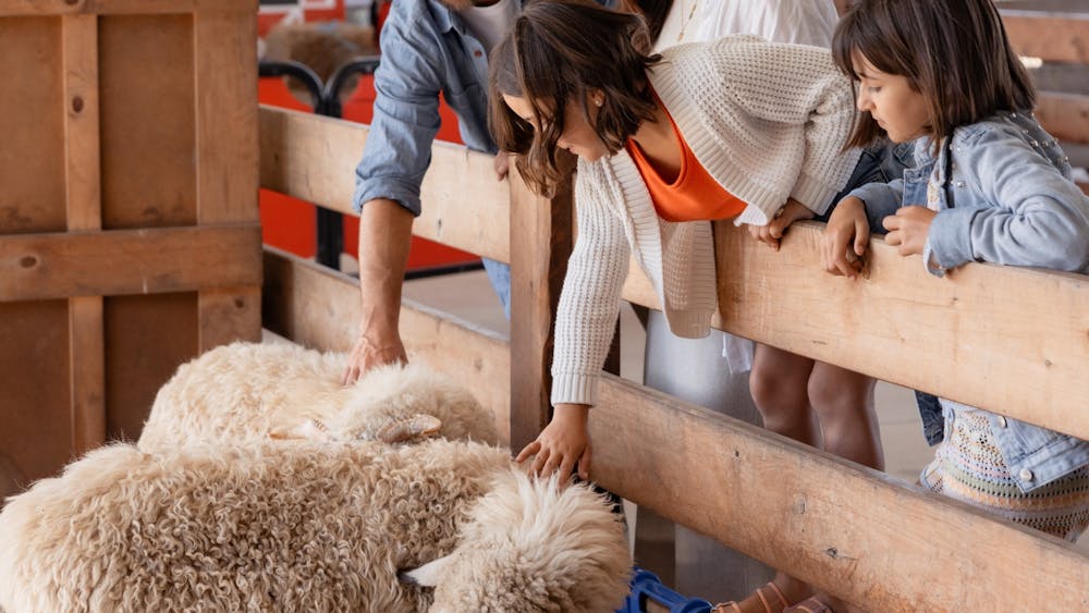 Thumbnail for Creswick Woollen Mills – A Very Fine Yarn