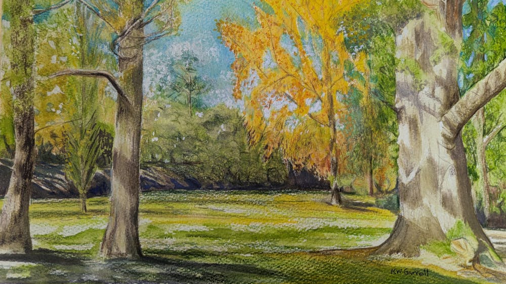 Autumn leaves and tones with sunny sky dappled on the green grass amongst the trees