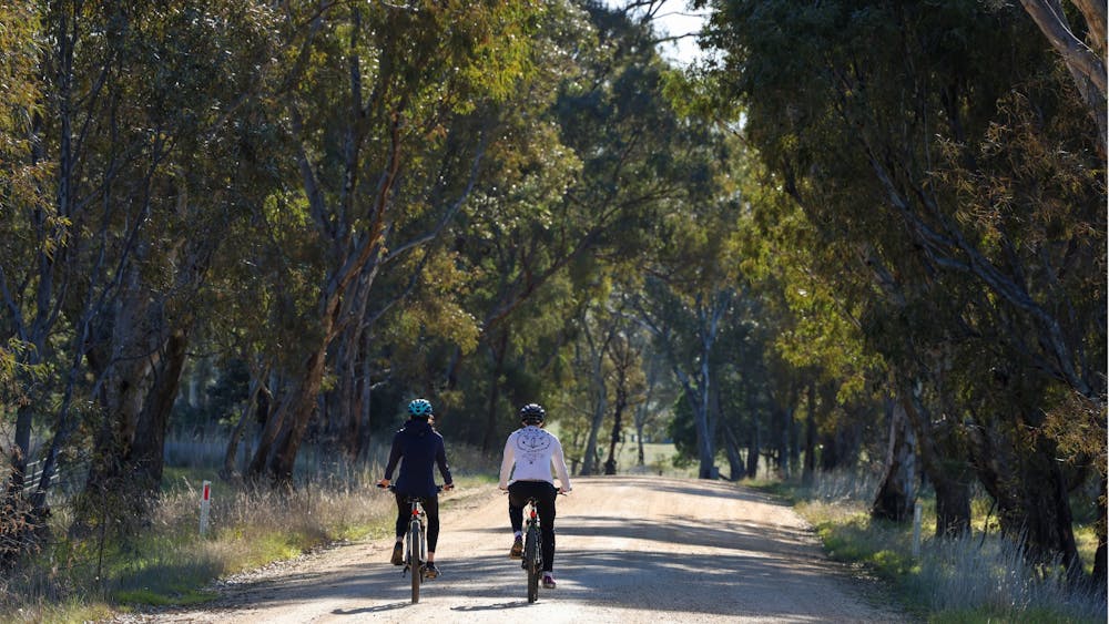 cycling, pyrenees, cycling wineries,