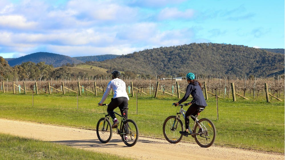 cycling, pyrenees, cycling wineries,