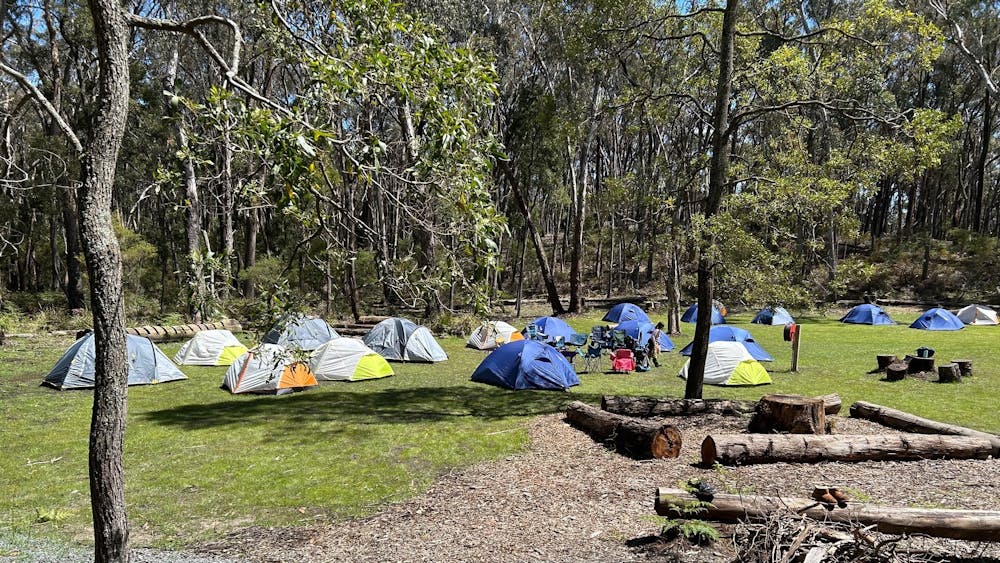 Tents set up in a private bushland tent site