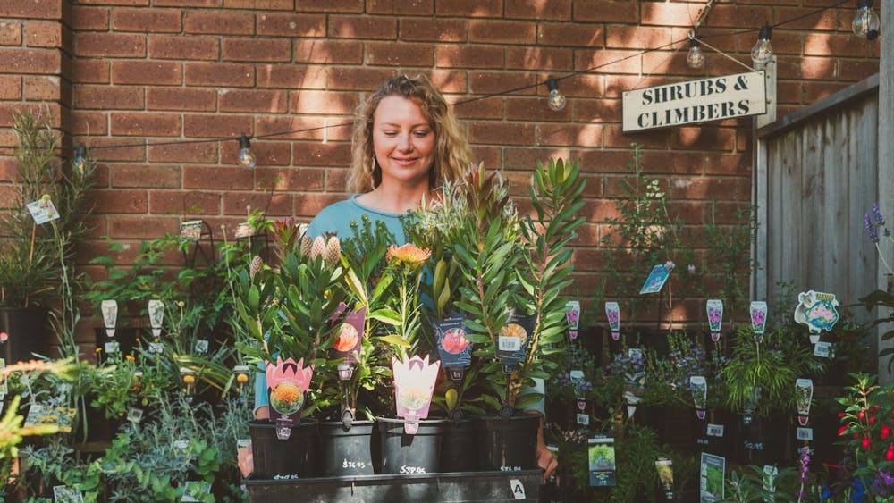 A woman holding a tray of plants outside in a nursery with plants on shelves behind her.