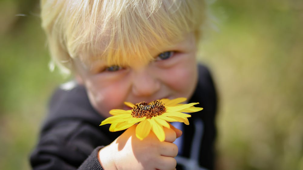 small child with blond hair holding a flower