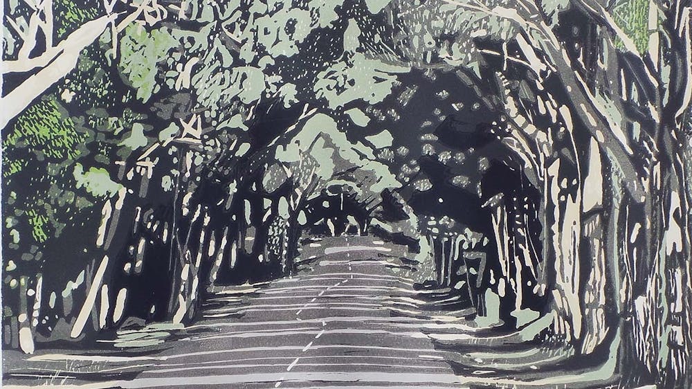 Treee over hanging road in country