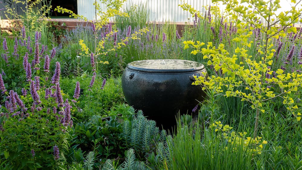 Open Gardens Victoria - North Haven, lush plantings