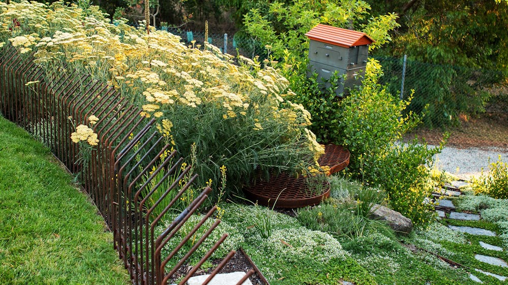 Open Gardens Victoria - North Haven, garden view